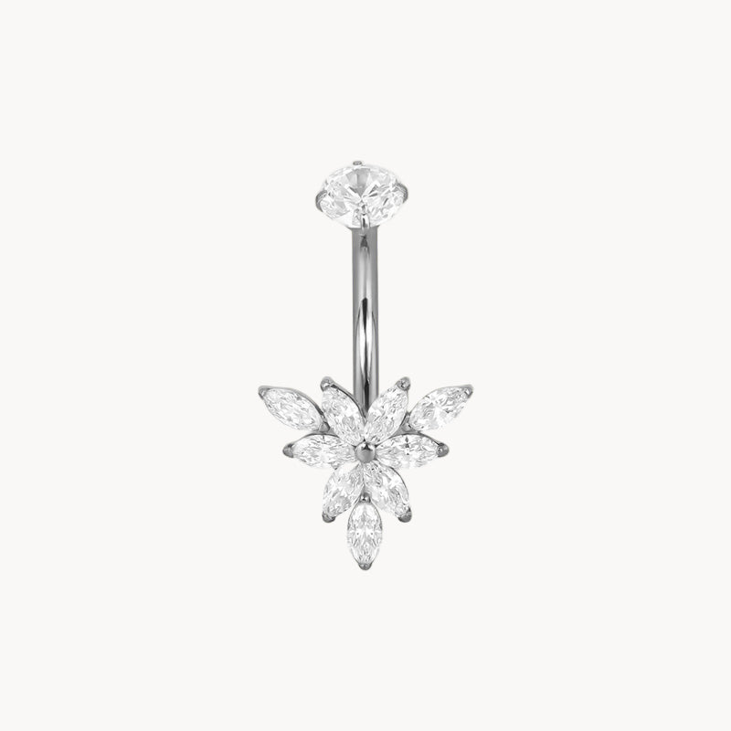 Bauchnabel Titan Bananabell Blüte