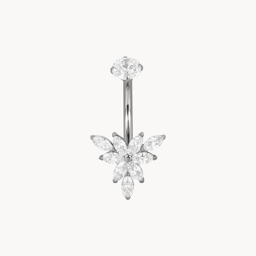 Bauchnabel Titan Bananabell Blüte